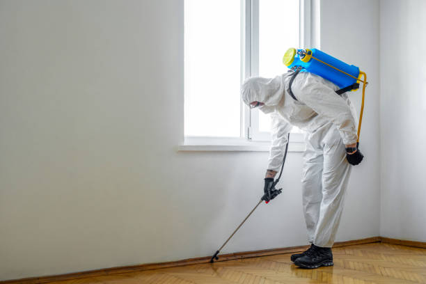 Best Pest Control for Multi-Family Homes  in Johns Creek, GA